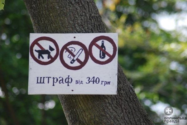 Як у Ковелі готуються до навчального року. ФОТО